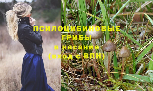 мяу мяу мука Алексеевка