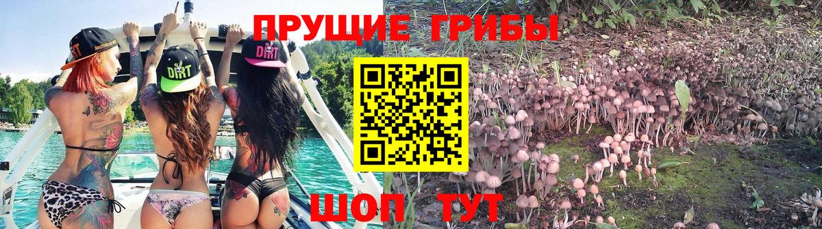 Красноярск  Псилоцибиновые грибы Psilocybine cubensis  Вход с VPN  Галлюциногенные грибы ЛСД 
