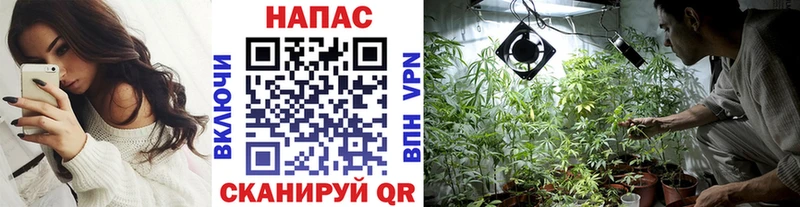 MEGA вход  что такое   Красноярск  МАРИХУАНА SATIVA & INDICA 